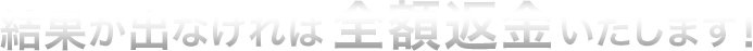 結果が出なかったら全額返金